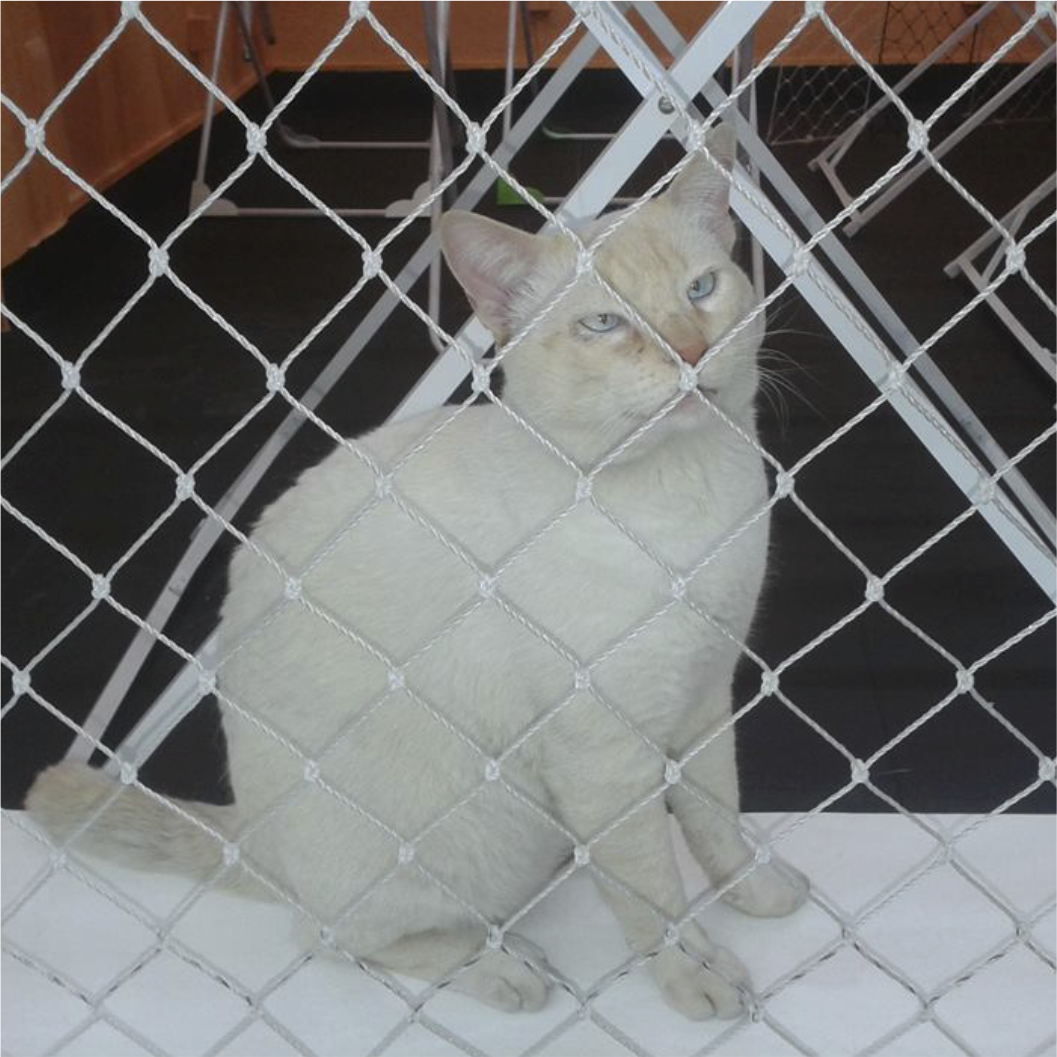 Redes de Proteção Phederal 5